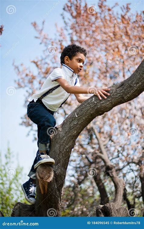 Little Cute Real Black Boy Climbing On Tree Stock Image Image Of