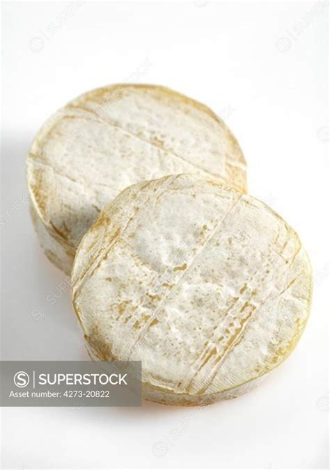 Rocamadour French Cheese Made From Goats Milk Superstock