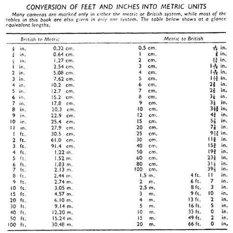 Convert Inches Into Feet