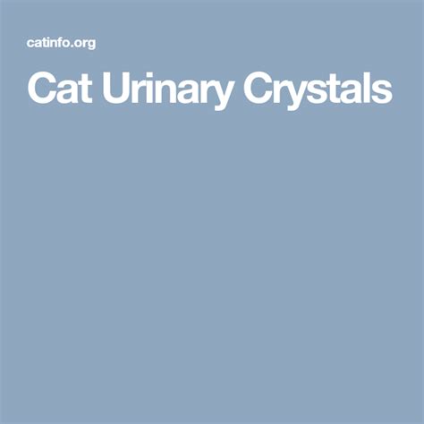Cat Urinary Crystals Urinary Tract Infection Urinary Tract Health