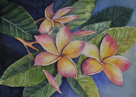 Tropical Plumerias Painting By Sandy Fisher Fine Art America