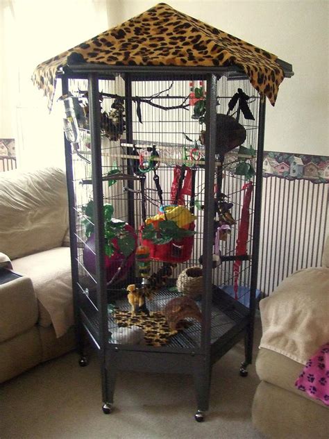 How to make a sugar glider cage. GliderGossip - Show your cages?