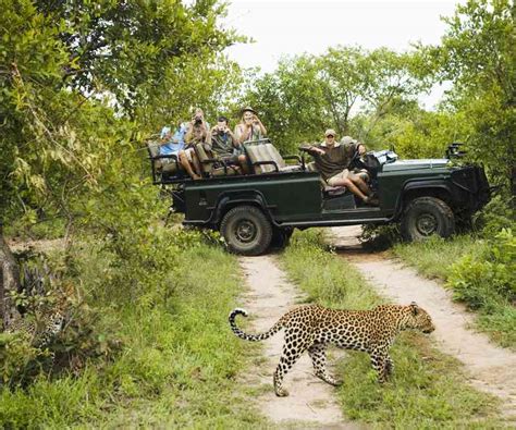 What Is A Safari Defining African Safaris
