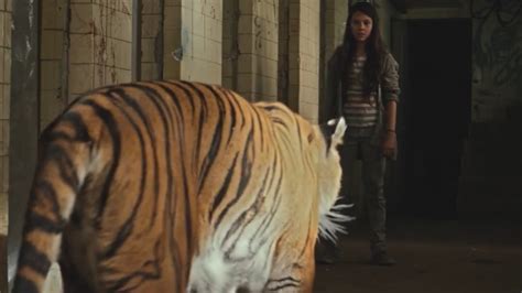 31 Days Of Horror Day 28 Tigers Are Not Afraid In Their Own League