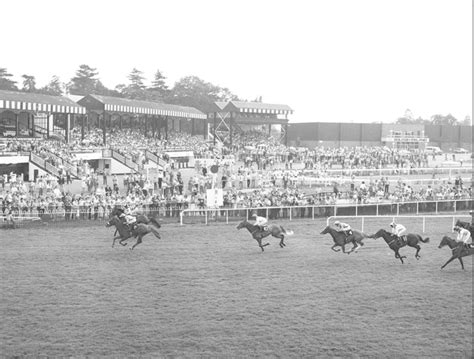 A Story Of Boom To Bust The Iconic Phoenix Park Racecourse And Its