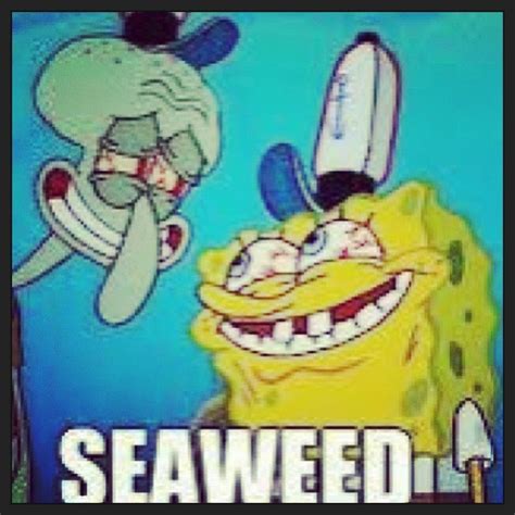 Dirty Spongebob Weed Quotes Quotesgram