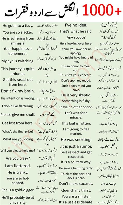 1000 English To Urdu Sentences With Urdu And Hindi Translation