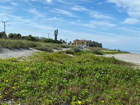 Turtle Beach Siesta Key Atualizado 2020 O Que Saber Antes De Ir