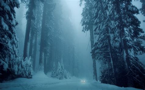 Nature Winter Snow Tree Trees Trees Road Vehicle Car Cold Mood Forest G