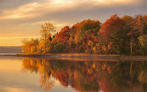 Dusk Autumn Forest Lake Water Reflection Wallpaper Nature And
