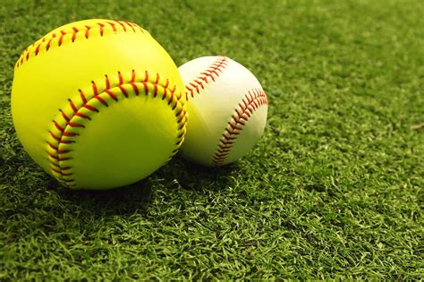 Battle Of The Bats Softball Versus Baseball Back Sports Page