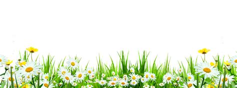 Download Svg Library Flower Download Icon Cute Flowers Roadside Grass