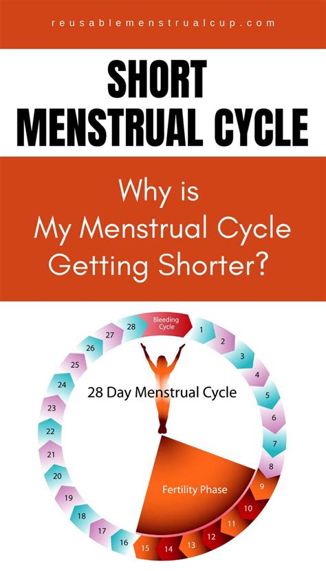 Why Is My Menstrual Cycle Getting Shorter Short Menstrual Cycle