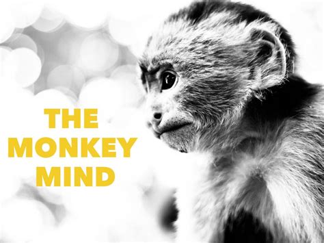 Monkey Mind Meditation How To Calm Your Racing Thoughts Bio Time Inc