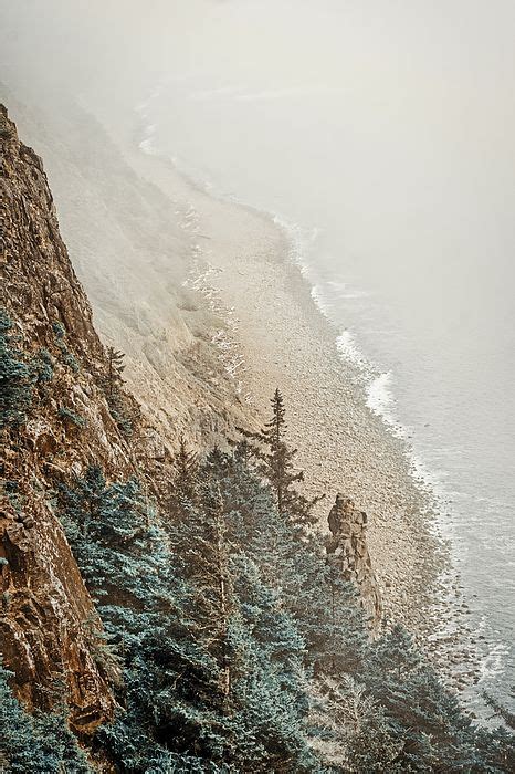 Foggy Cliff On The Oregon Coast By Stuart Litoff Oregon Coast Oregon