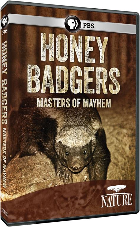 Nature Honey Badgers Masters Of Mayhem Dvd Region 1 Us Import