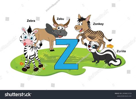 Cute Animal Name Alphabet Letter Z Stock Vector Royalty Free