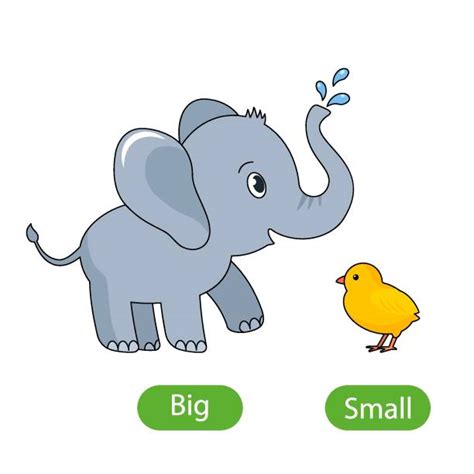 740 Big And Small Words Stock Illustrations Royalty Free Vector