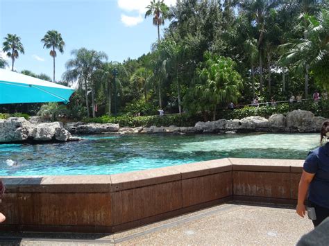 General View Of Dolphin Cove At Seaworld Orlando Zoochat