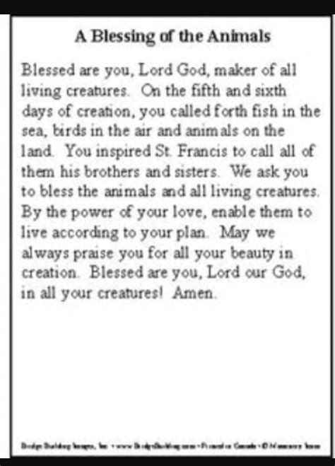 St Francis Prayer For Animals 🦁🐶🦄 Saint Francis Prayer St Francis