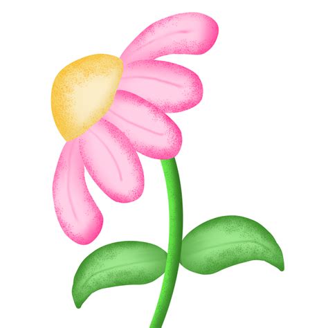 Pink Daisy Flower 27180336 Png