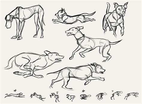How To Draw Doggy Style Frontlinersartillustrationdrawing