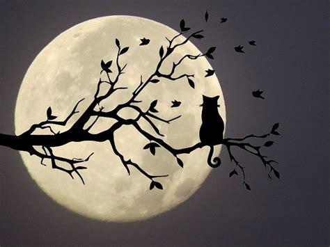 Pin By Moonlight On Art Look At The Moon Moon Silhouette Moon Art