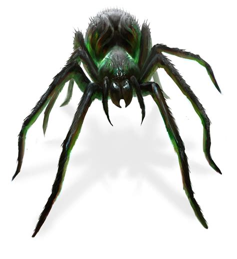 Spider Illustration Fantasy Monster Fantasy Creatures