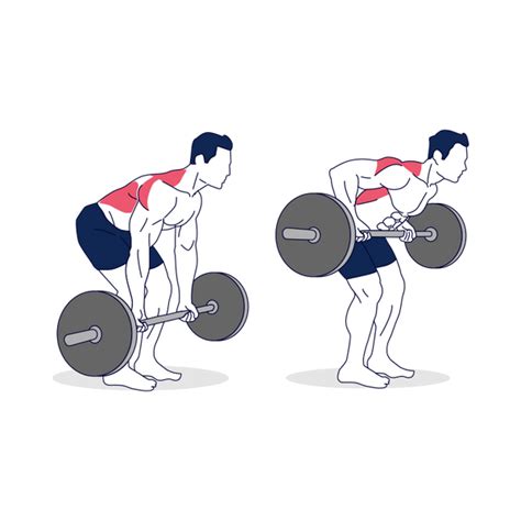 How To Do Barbell Bent Over Rows Supinated Grip Simply Fitness