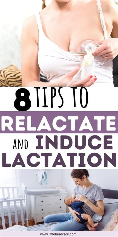 Relactating And Inducing Lactation 8 Steps And Tips Breastfeeding And Pumping Lactation