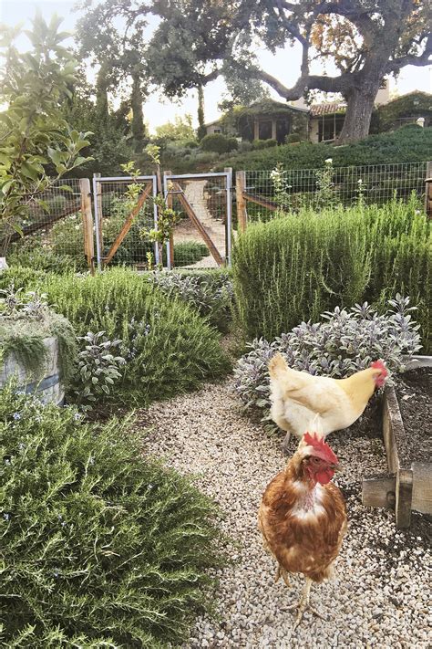 This Couple Built The Chicken Coop Of Our Dreams And Its So