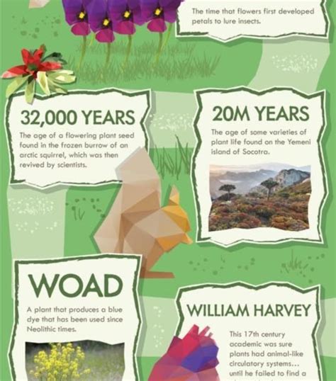 Infographic Edible Medicinal Or Just Bizarre Here Are 50 Amazing