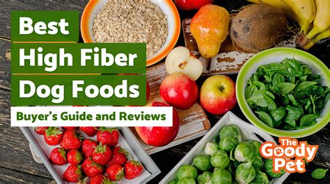 Most of us need to eat more fiber. 8 Best High Fiber Dog Foods (December 2019) | TheGoodyPet