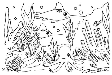 Desenhos para colorir de peixe espada grátis Desenhos para colorir de