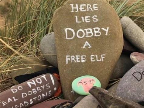 House Elf Dobbys Grave May Be Relocated Pledge Times