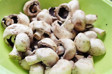 Made from scratch is always best and tastes amazing. What to do with a plethora of mushrooms (Homemade Condensed Cream of Mushroom Soup) - My Sh*tty ...