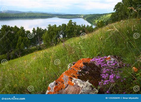 The Nature Of Siberia Nature Of The Krasnoyarsk Territory Stock Image