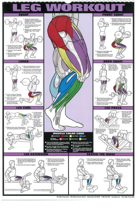 The Absolute Beginners Guide To Exercise Workout Posters Gym