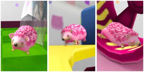 Sega Certified Hedgehogs By Woopa20 At Mod The Sims Sims 4 Updates