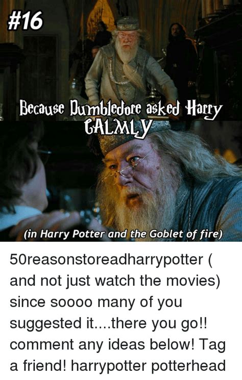 Dumbledore Goblet Of Fire Meme - #16 Because Dumbledore Asked Harry GALMLy in Harry Potter and the