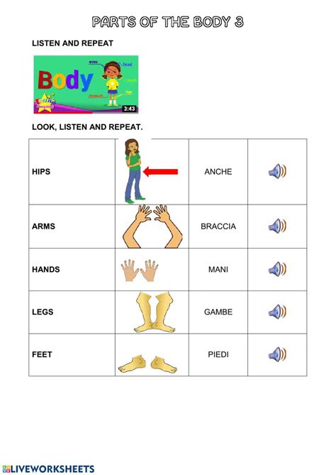 parts   body  interactive worksheet