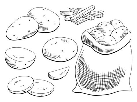 Royalty Free Raw Potato Clip Art Vector Images And Illustrations Istock