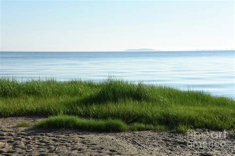 scenic seascape of bay with green marsh grass photograph by dejavu designs fine art america