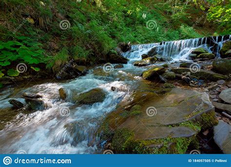 Mountain River In The Forest Fresh Water Stream From Waterfall Stock