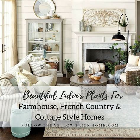 The Best Indoor House Plants For Farmhouse And French Country Style