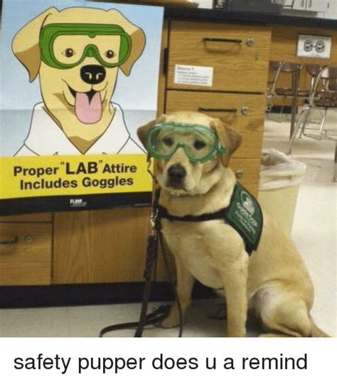 Proper Lab Attire Includes Goggles Goggles Meme On Sizzle