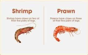Understanding The Key Differences Between Shrimp And Prawns