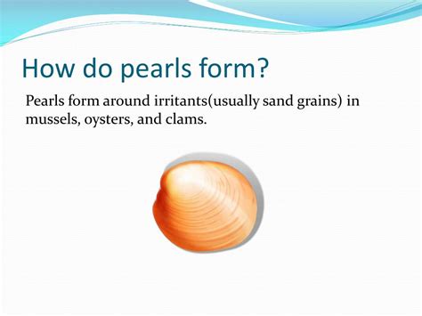 Ppt Fresh Water Pearls Powerpoint Presentation Free Download Id