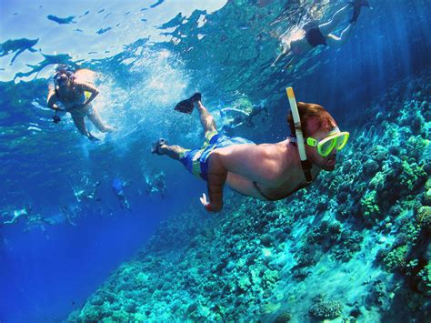 Molokini Crater Snorkeling Trips And Info Maui Hawaii