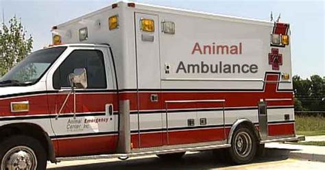 Regarding ambulance warning devices, which of the following statements is not true? Animal helpline with ambulance services in Odisha from ...